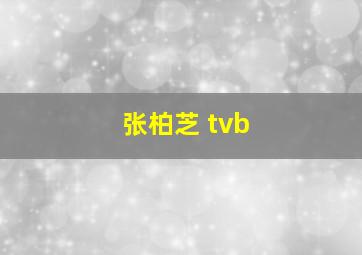 张柏芝 tvb